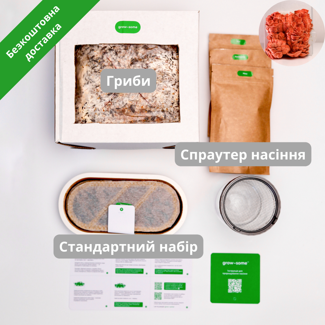 Бандл початківця