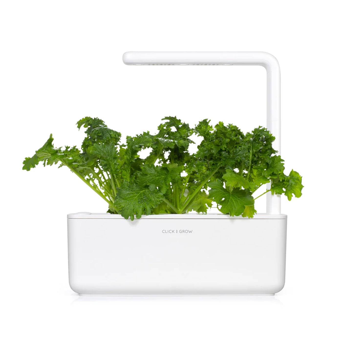Гірчиця васабі від Click & Grow (змінний картридж на 3 врожаї)