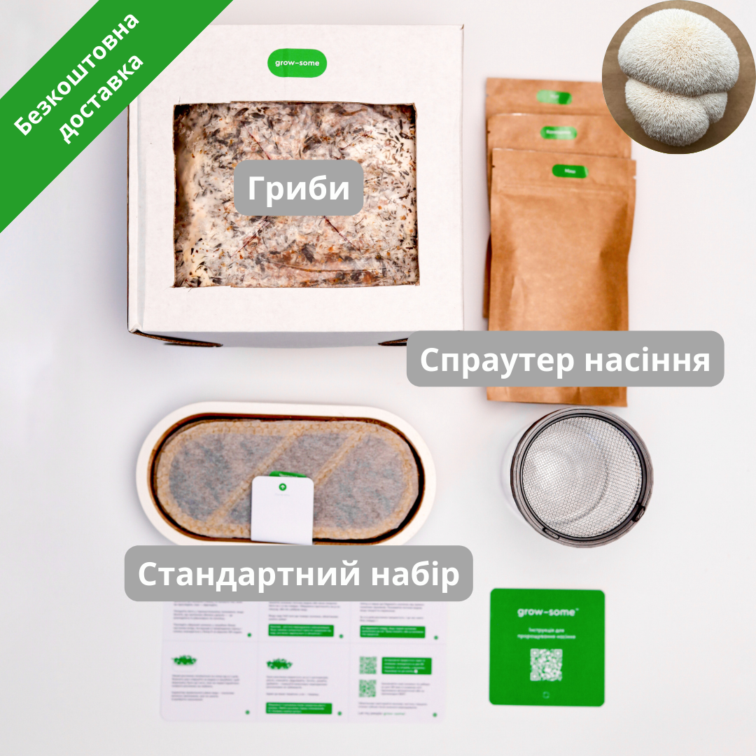 Бандл початківця