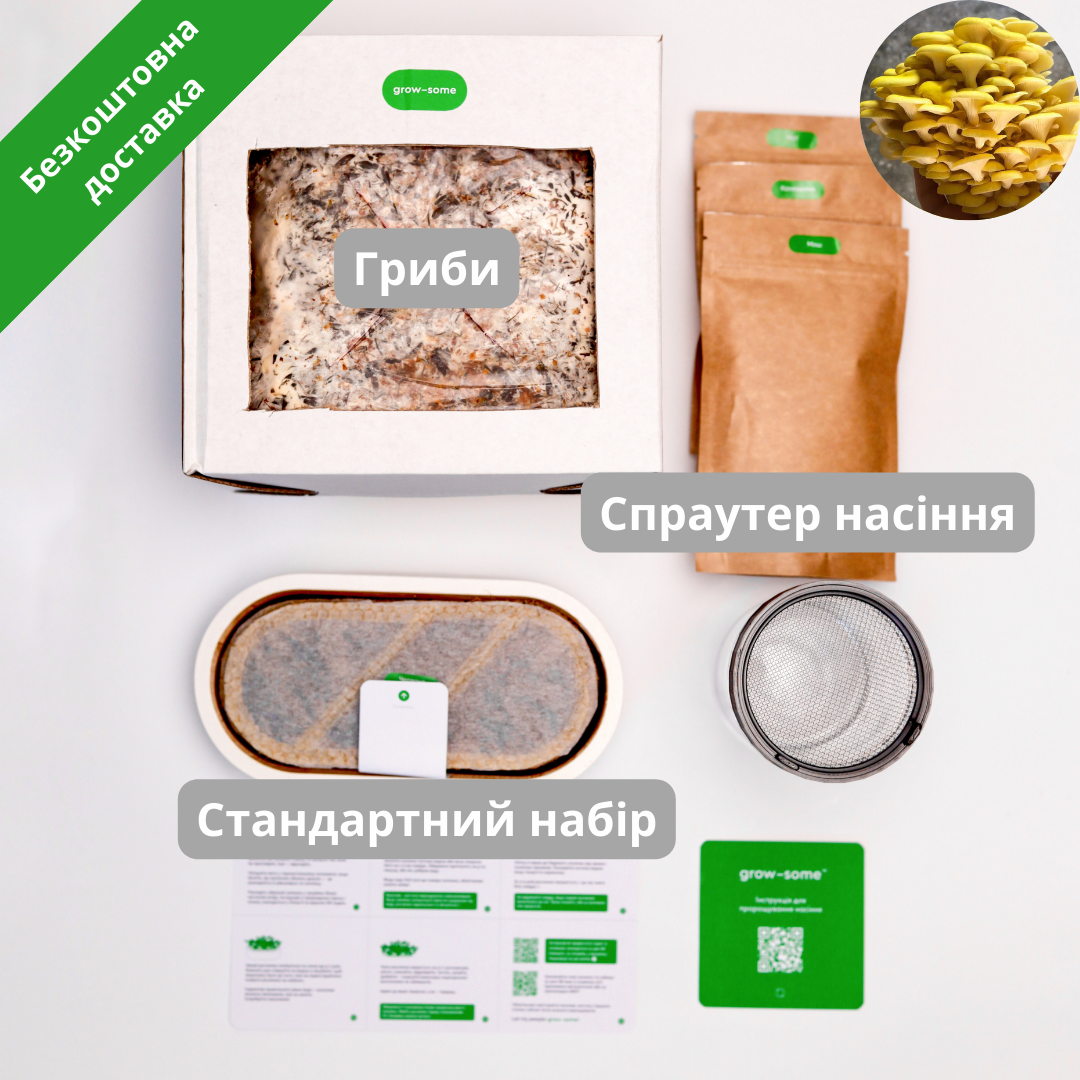 Бандл початківця