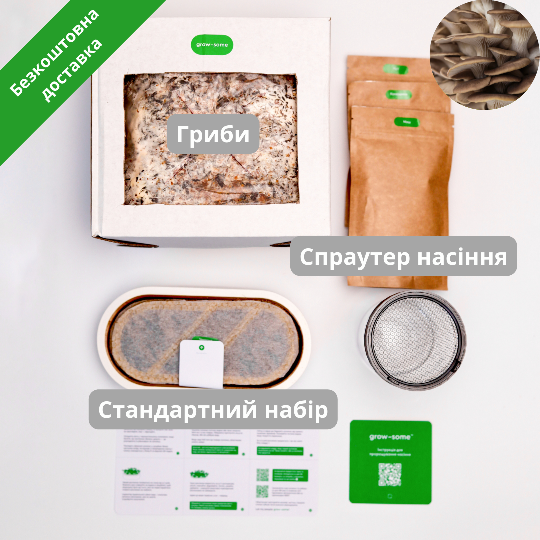 Бандл початківця