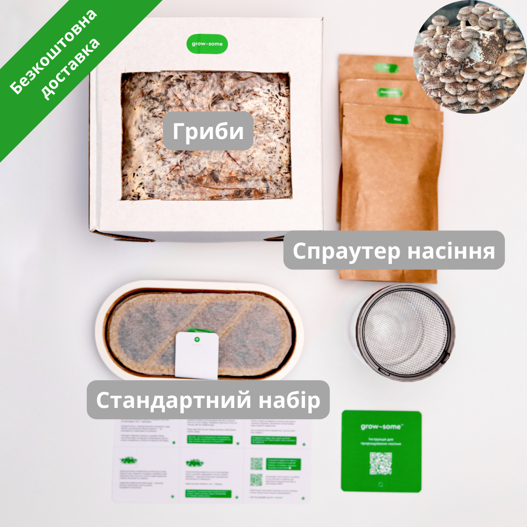 Бандл початківця