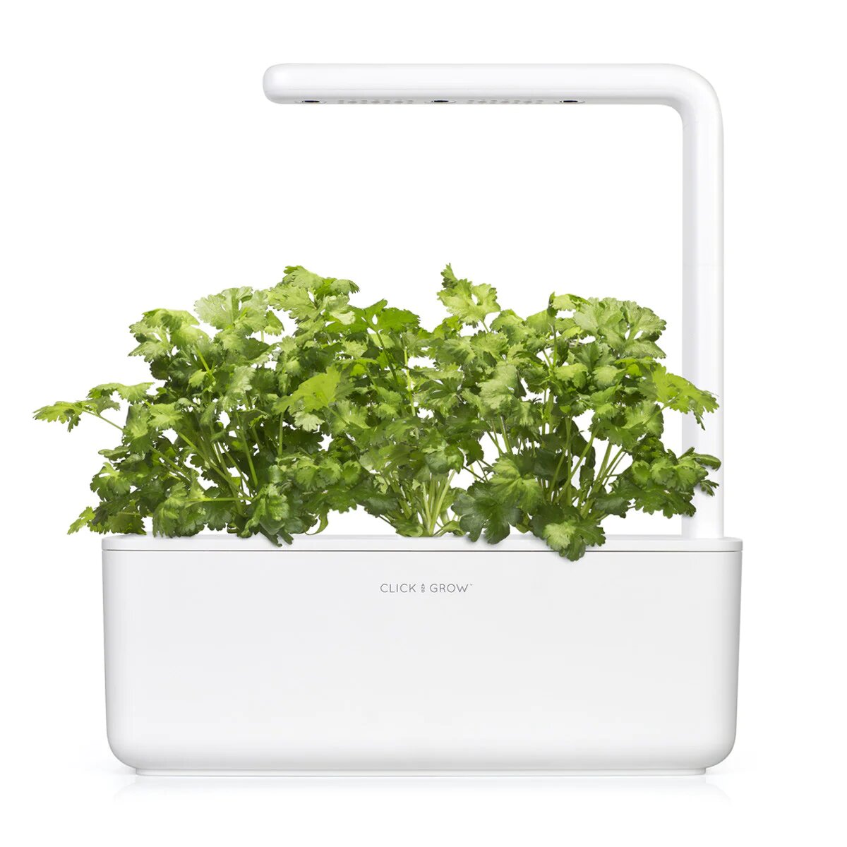 Коріандр від Click & Grow (змінний картридж на 3 врожаї)