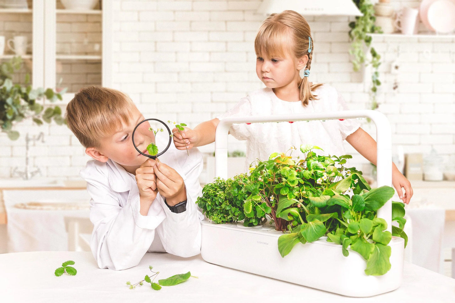 Click & Grow набір професіонала білий колір