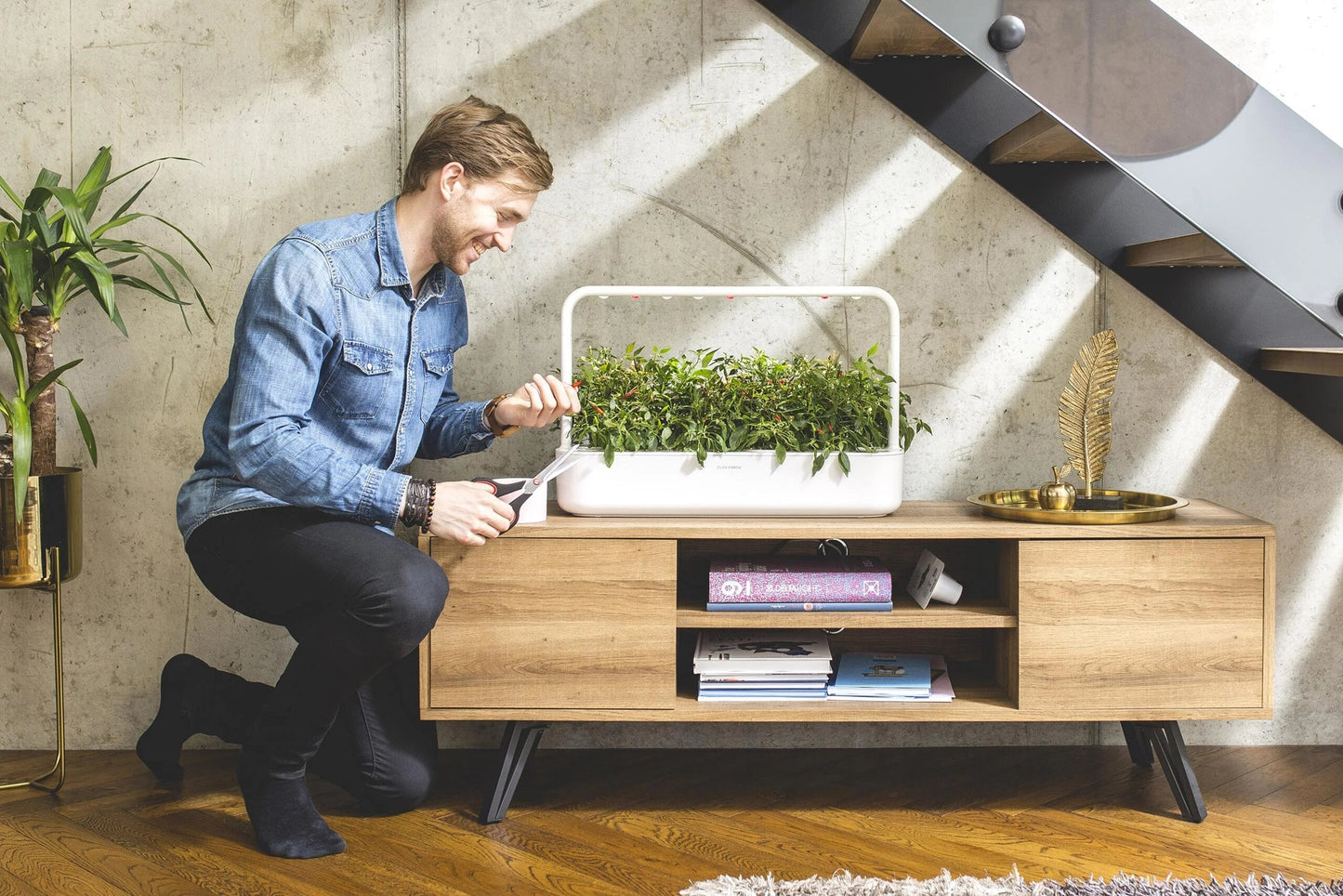 Click & Grow набір професіонала бежевий колір