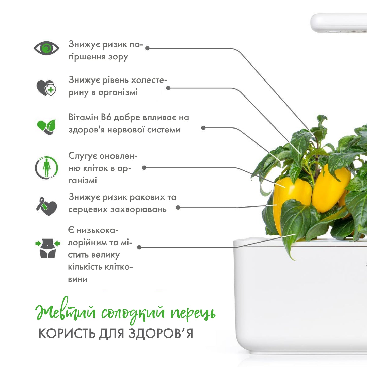 Жовтий солодкий перець від Click&Grow (змінний картридж на 3 врожаї)