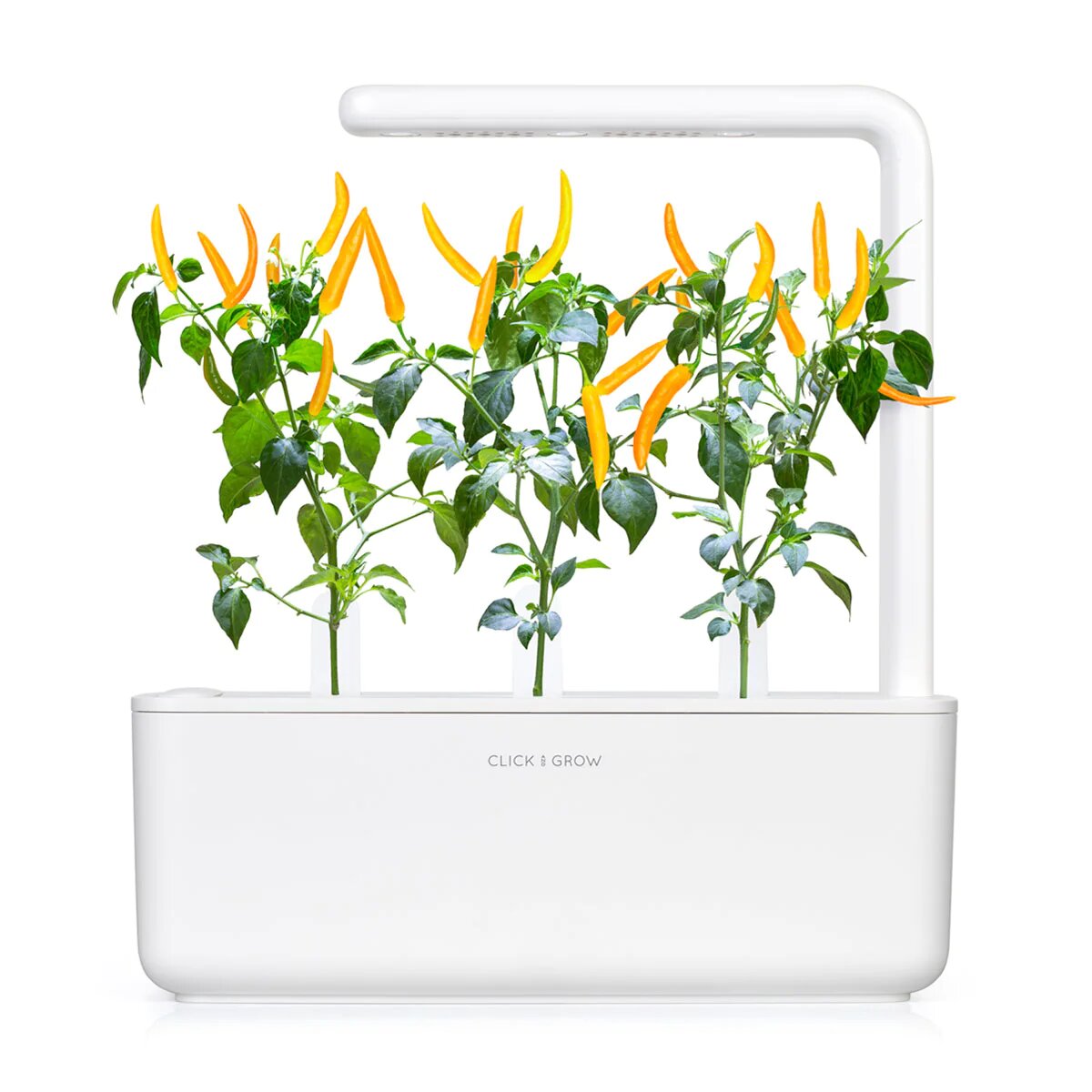 Жовтий перець чілі від Click&Grow (змінний картридж на 3 врожаї)