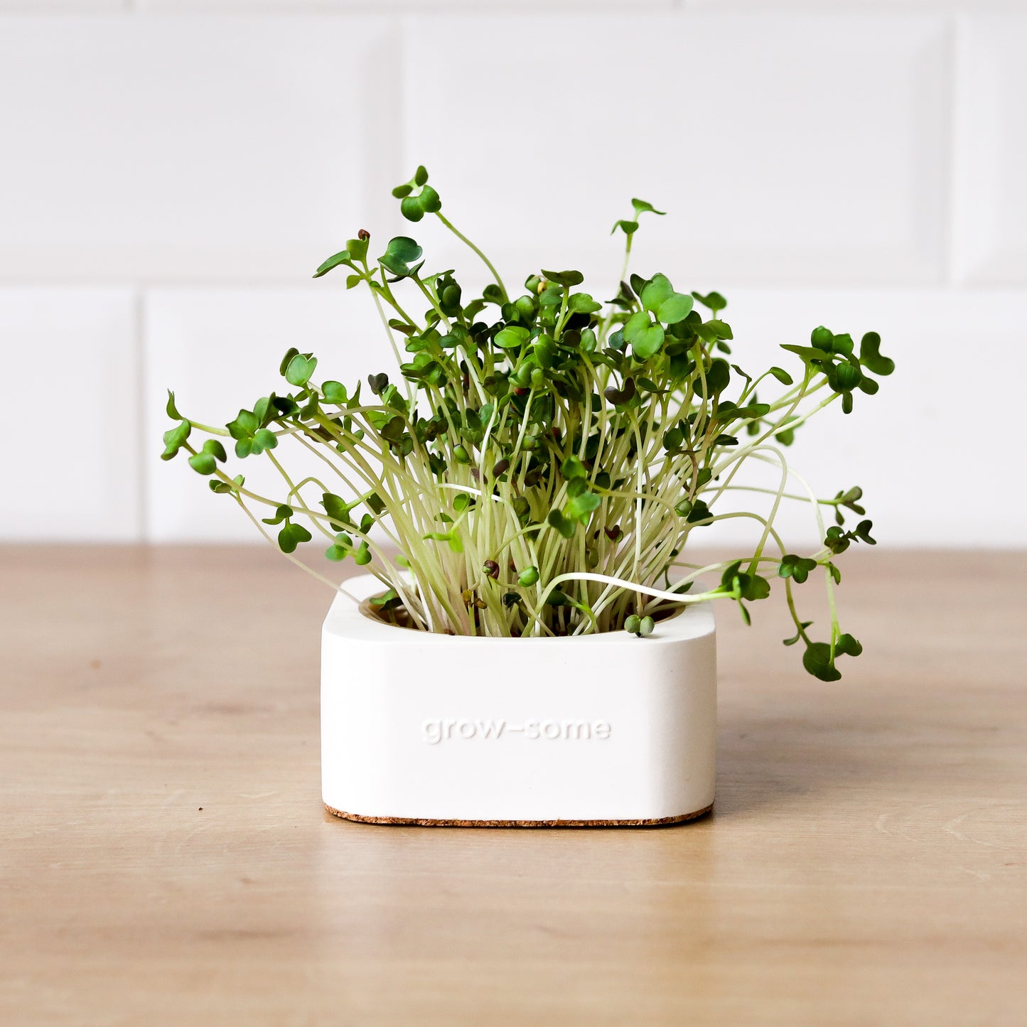 Міні горщик