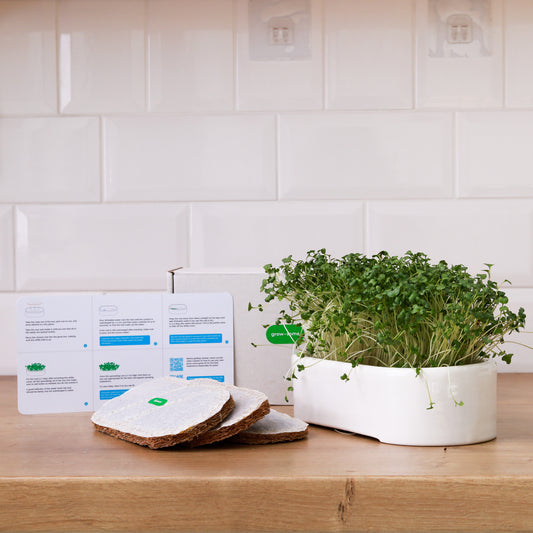 Керамічний: набір для вирощування мікрозелені