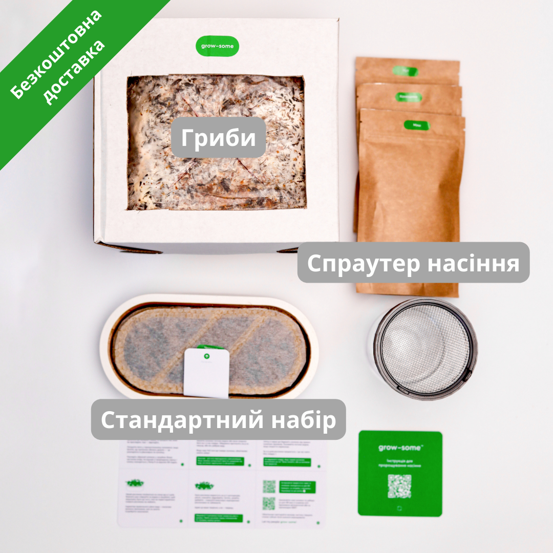 Бандл початківця