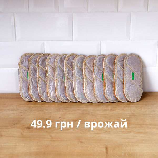 Набір з 12 килимків grow-some для вирощування мікрогріну вдома на дерев'яній поверхні