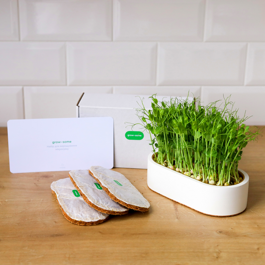 Стандартний: набір для вирощування мікрозелені