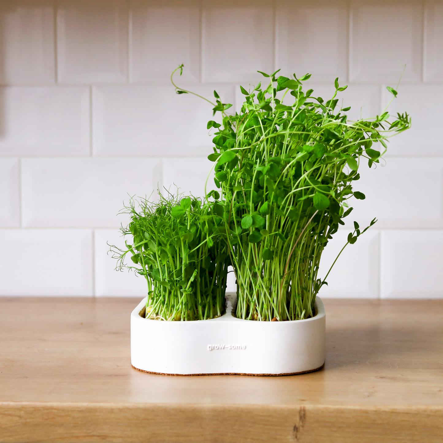 Подвійний горщик