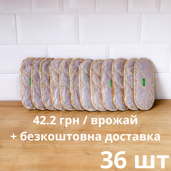 Річний запас килимків (36 шт)