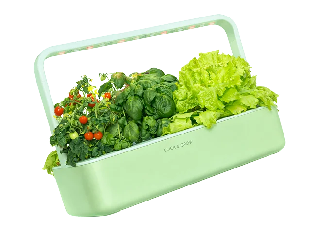 Click&Grow професіонала