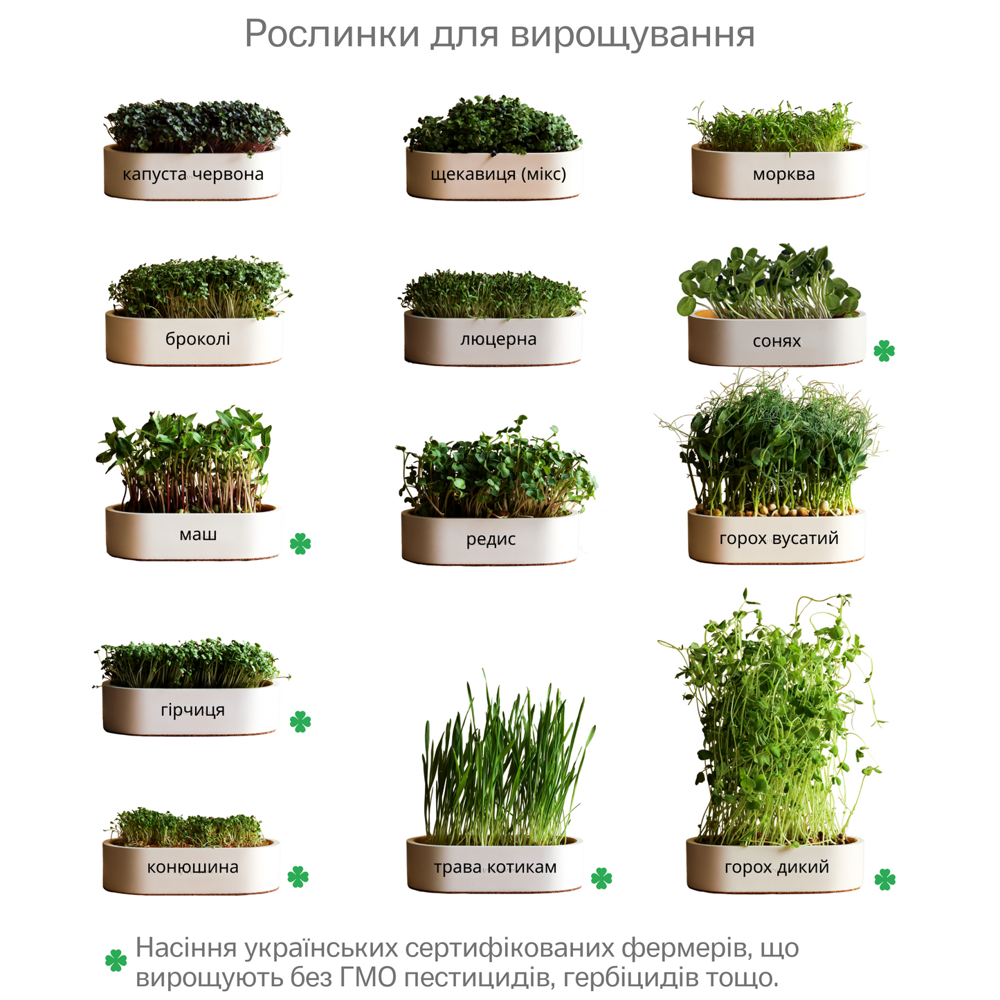Керамічний набір для вирощування мікрозелені: зелений