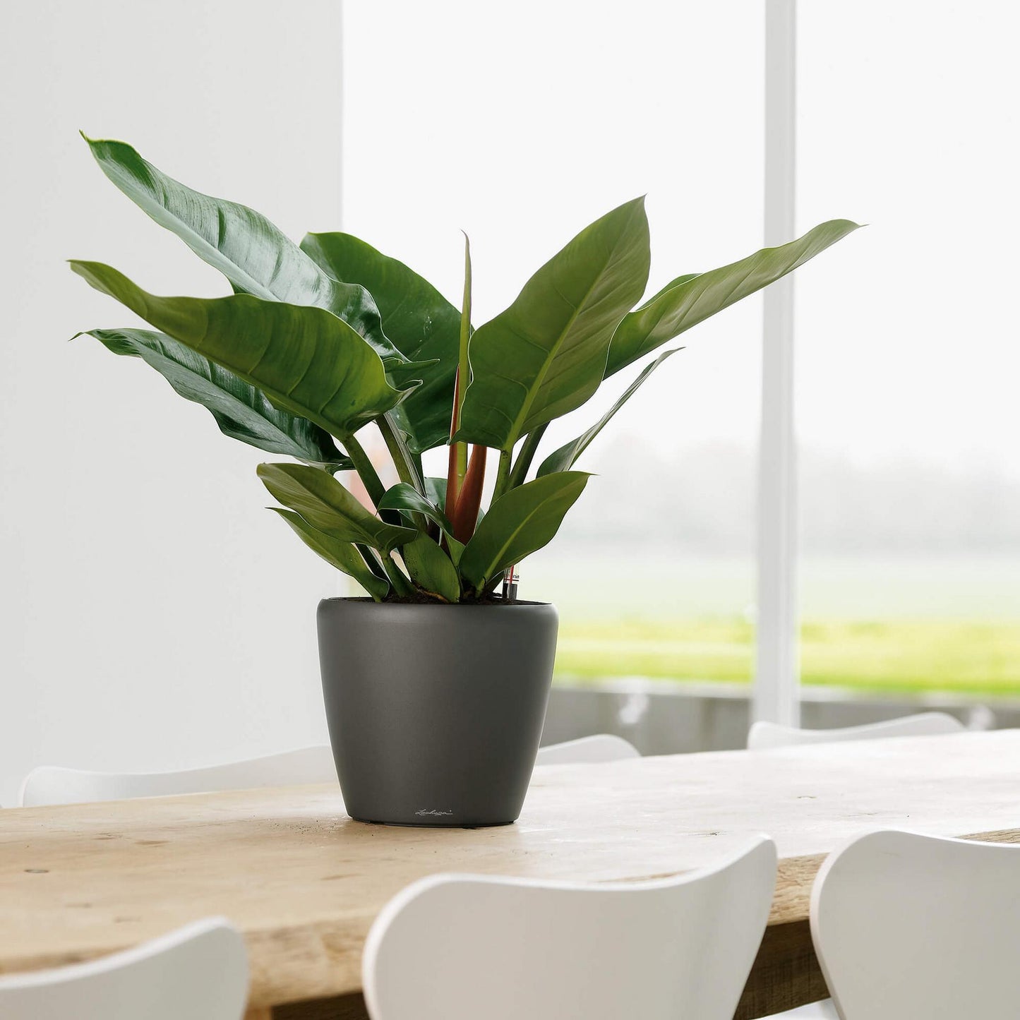 Вазон Lechuza Classico Premium LS 28, антрацит