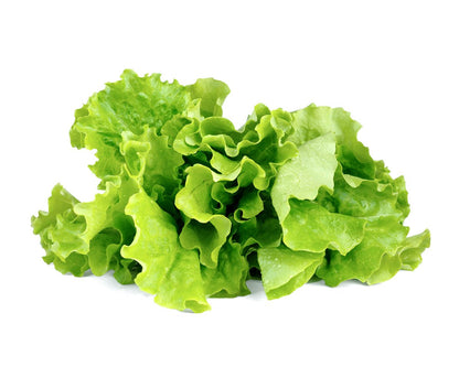 Зелений салат від Click & Grow (змінний картридж на 3 врожаї)