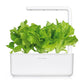 Зелений салат від Click & Grow (змінний картридж на 3 врожаї)