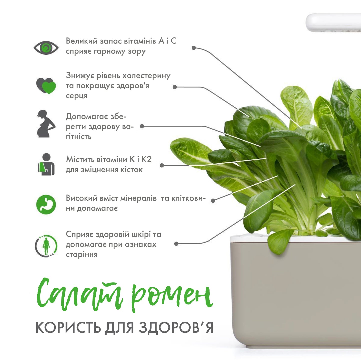 Салат ромен від Click & Grow (змінний картридж на 3 врожаї)