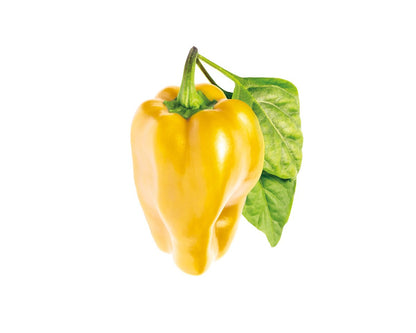 Жовтий солодкий перець від Click&Grow (змінний картридж на 3 врожаї)