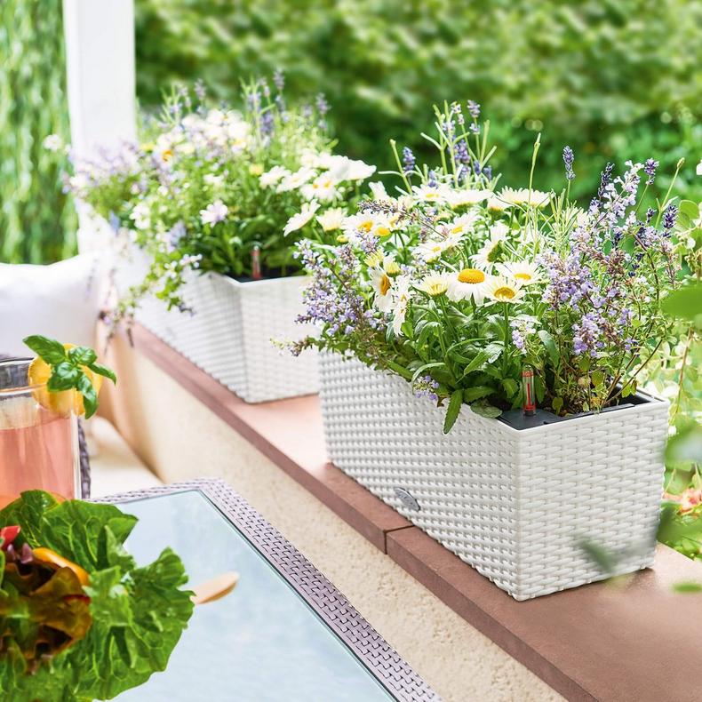 Вазон Lechuza Balconera Cottage 50, світло-сірий