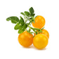 Жовті томати від Click & Grow (змінний картридж на 3 врожаї)