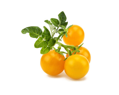 Жовті томати від Click & Grow (змінний картридж на 3 врожаї)