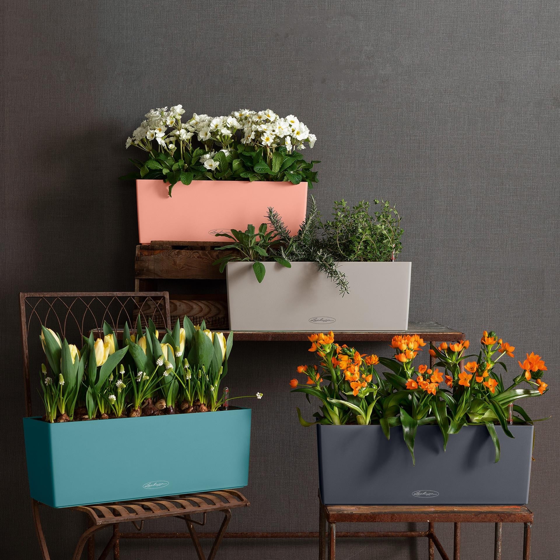Вазон Lechuza BALCONERA Color 40, білий