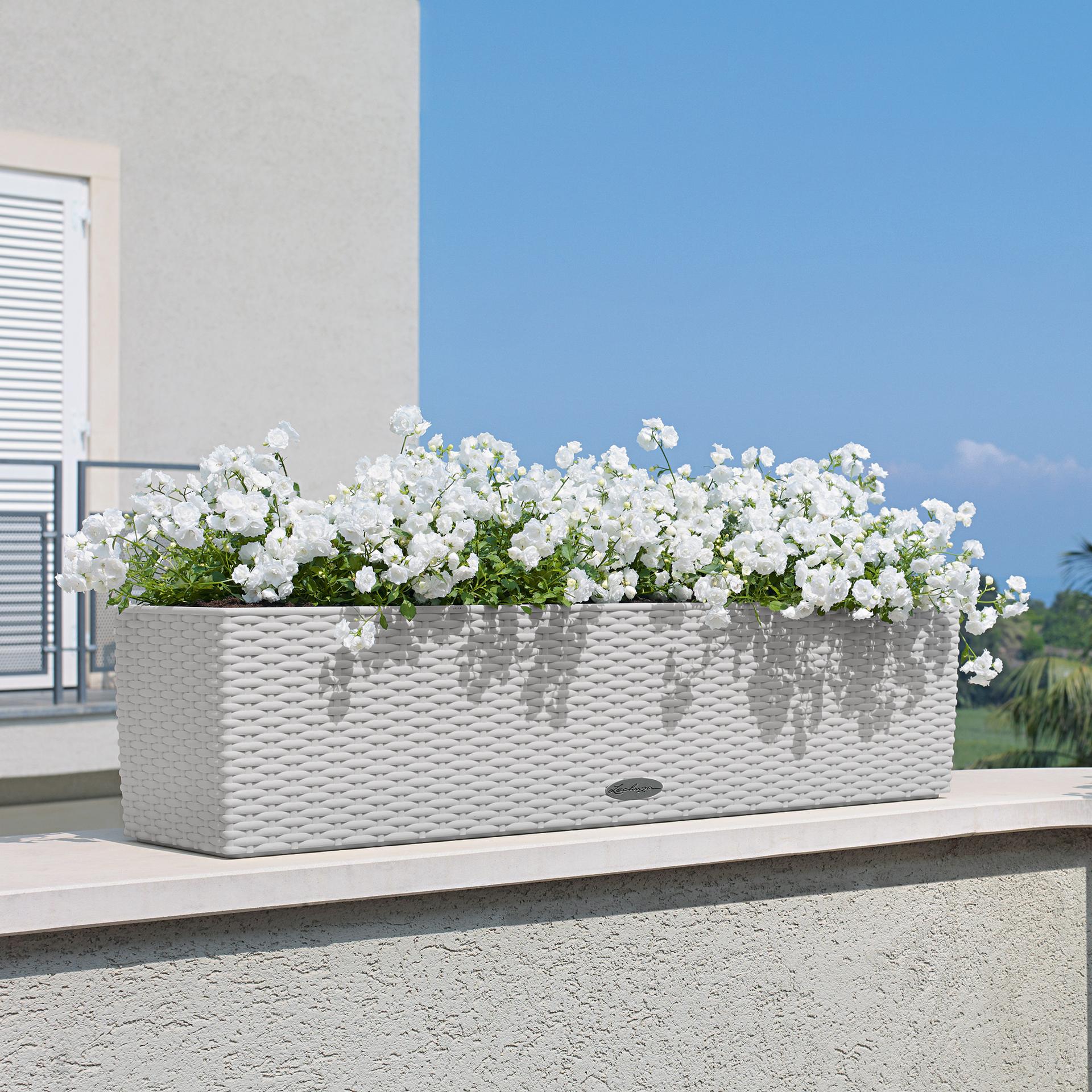 Вазон Lechuza Balconera Cottage 80, білий