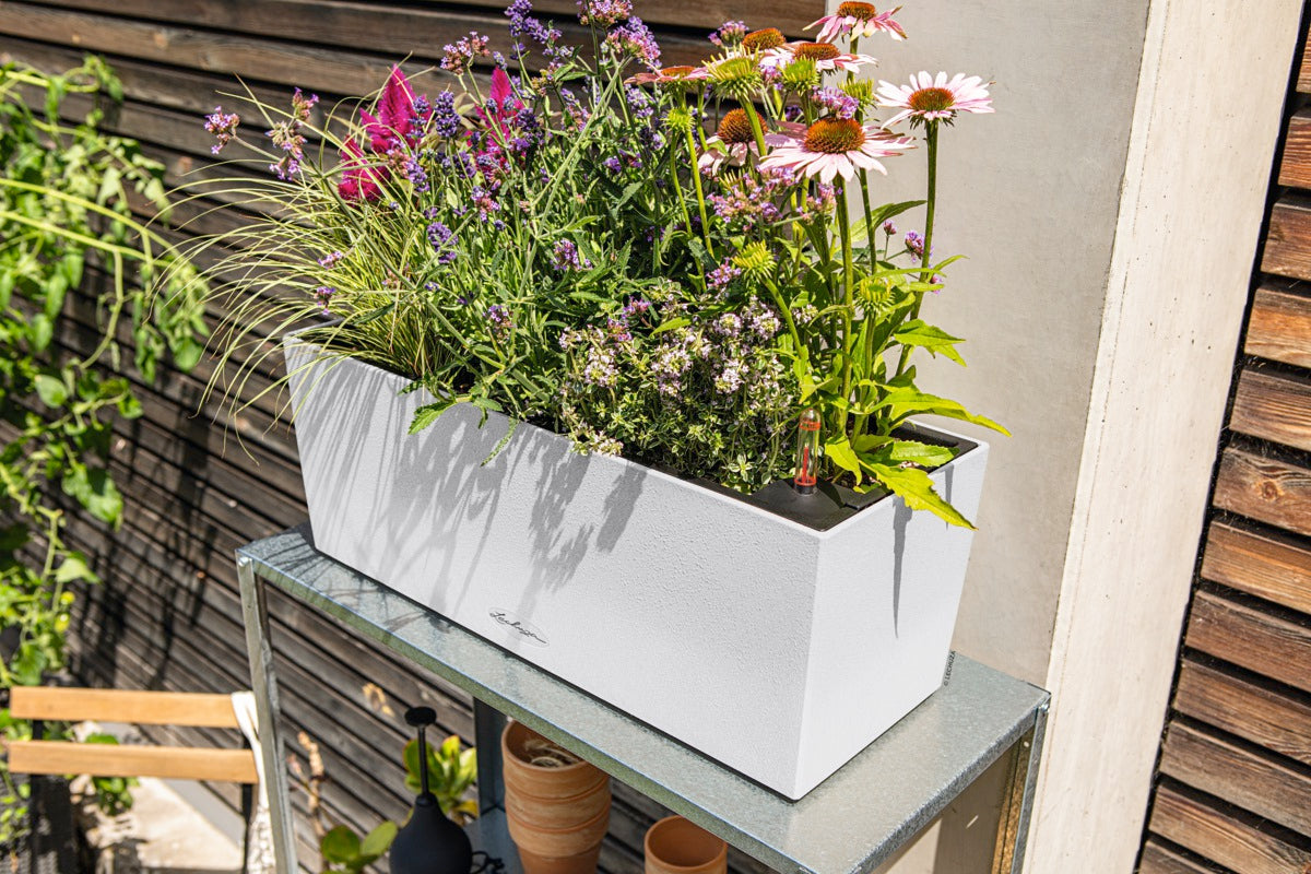Вазон Lechuza Balconera Stone 50, кварцовий білий