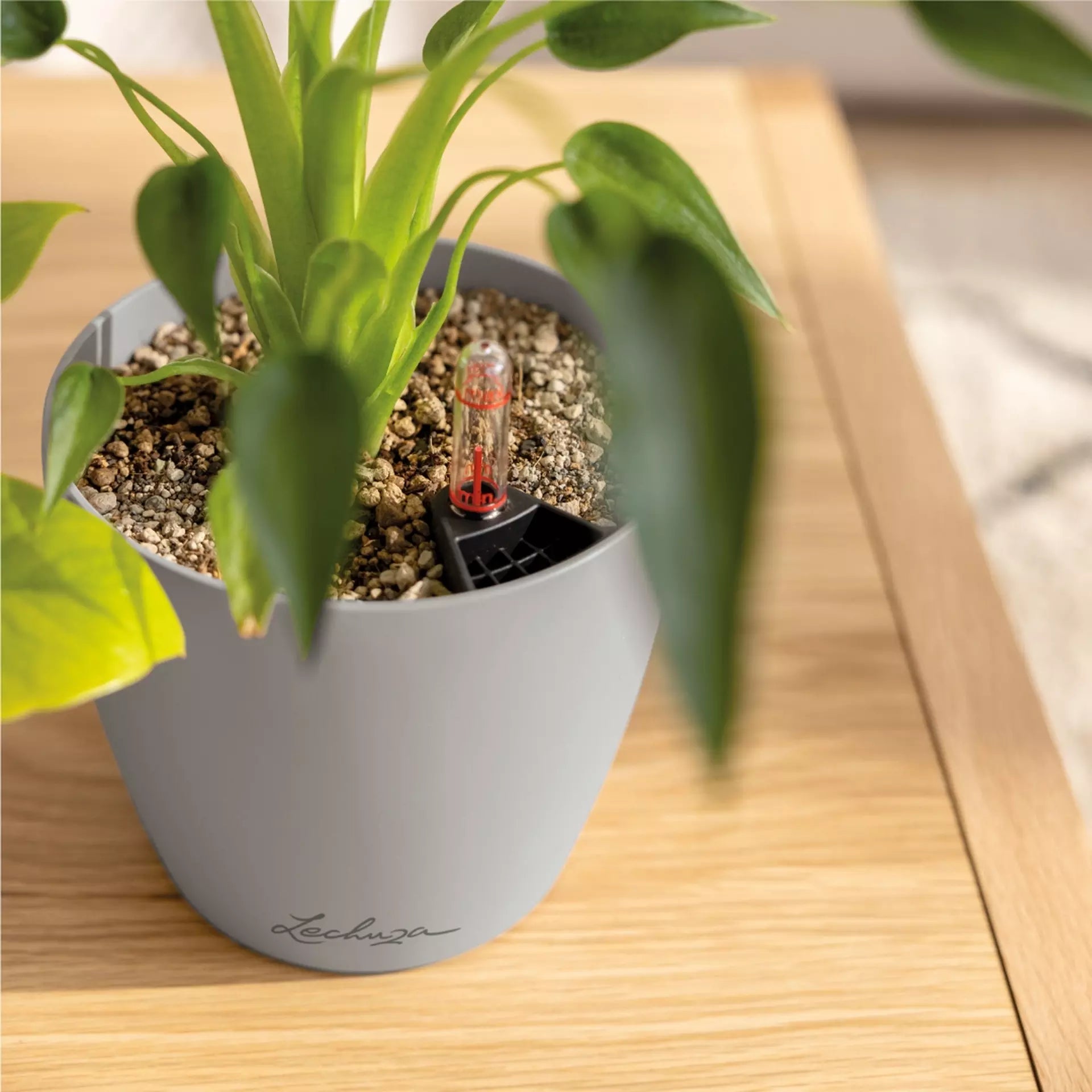 Вазон Lechuza Classicо Color 12, сланцево-сірий