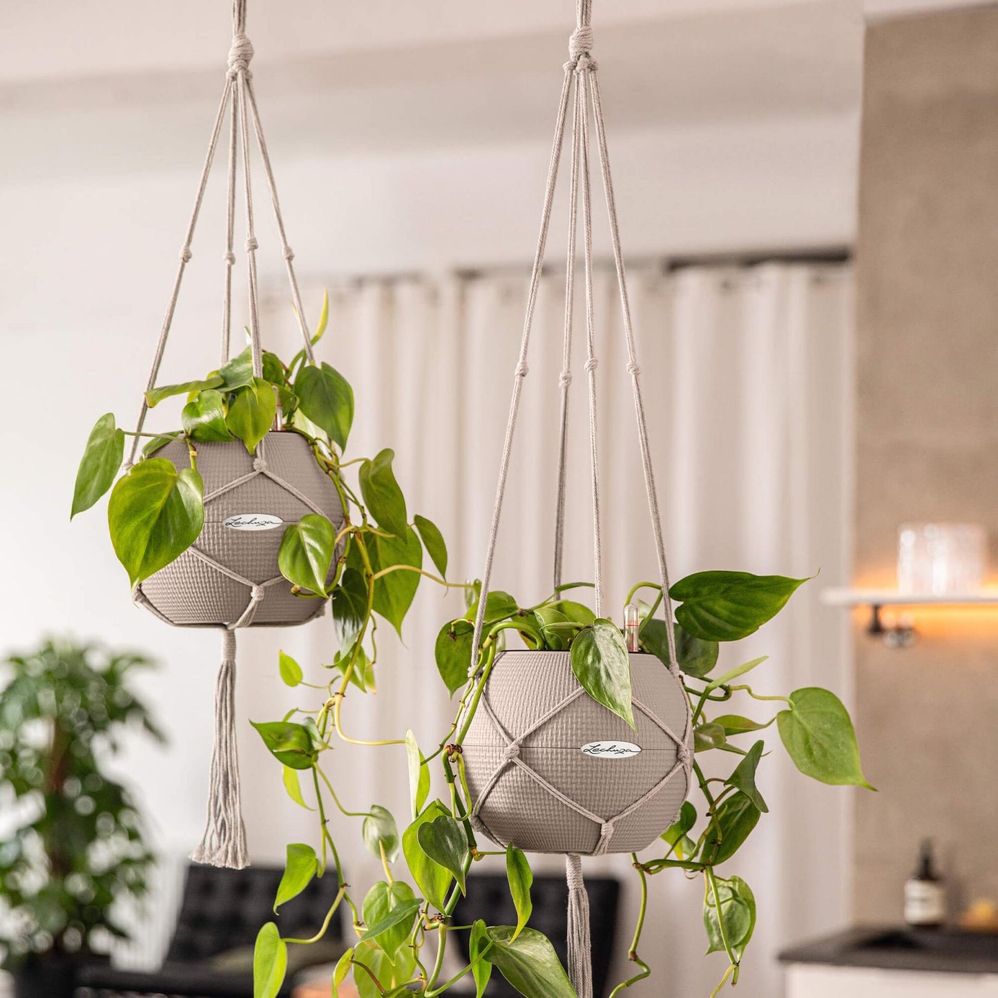 Підвіс Lechuza Macramé BOHO 120 см білий