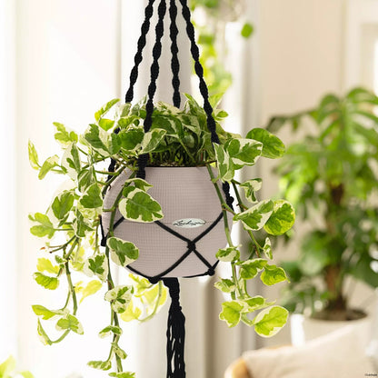 Підвіс Lechuza Macramé BOHO 90 см вугільний