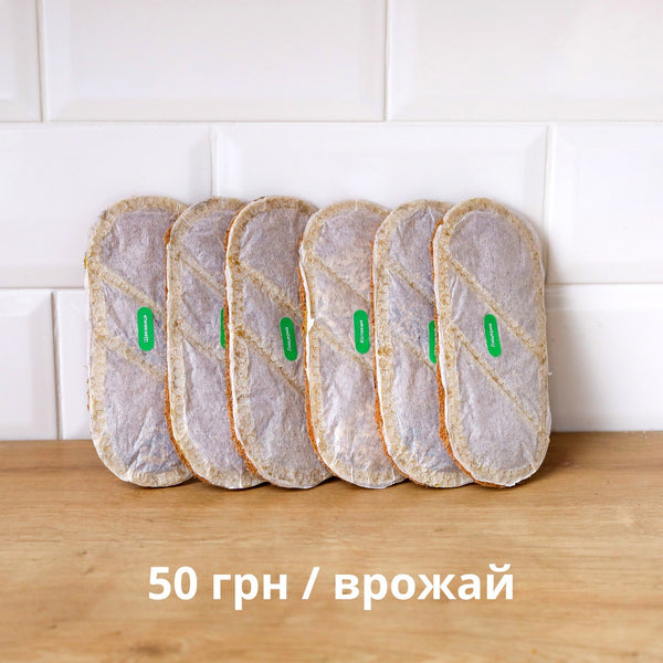 Набір з 6 килимків grow-some для вирощування мікрогріну з різним насінням на дерев'яній поверхні