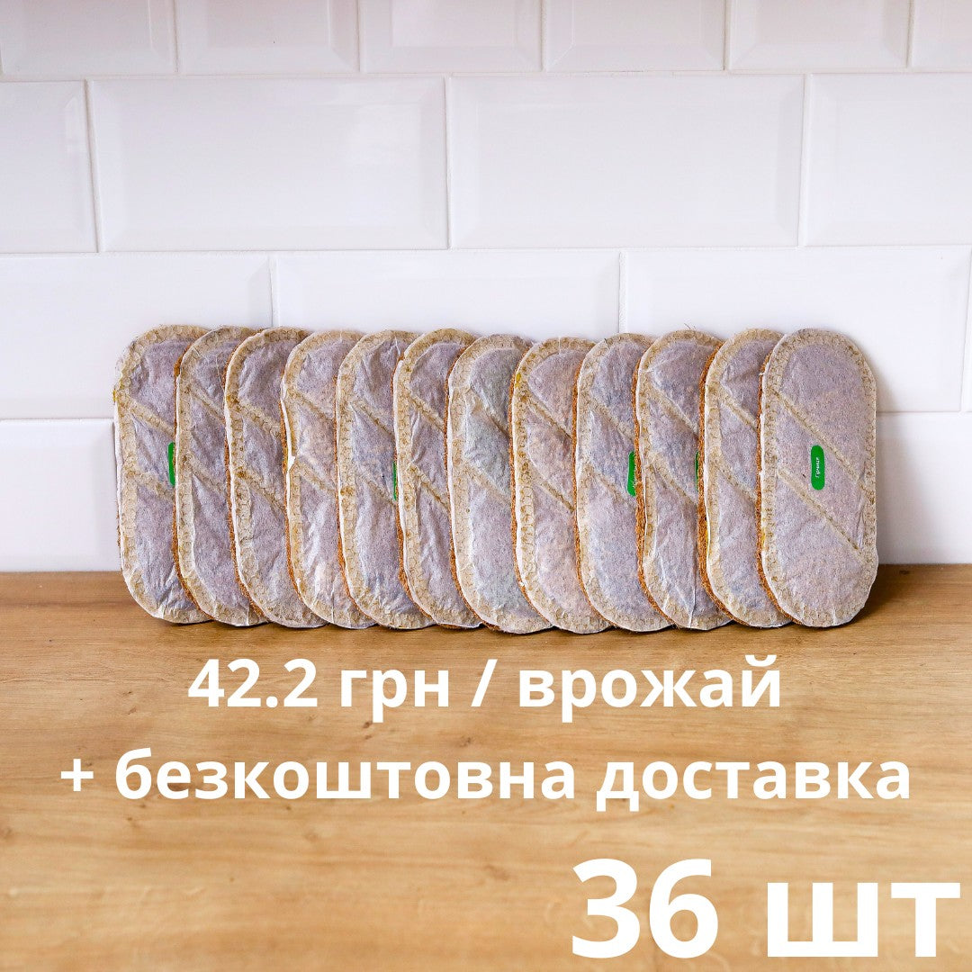 Річний запас килимків grow-some з насінням мікрозелені, 36 штук для вирощування вдома на дерев'яній поверхні
