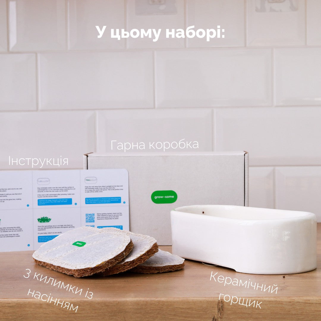 Набір grow-some для вирощування трави для котів: керамічний горщик, килимки з насінням та інструкція в коробці.